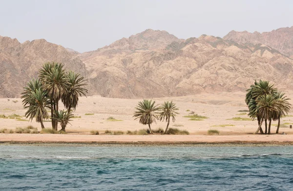 Egypt, Dahab, Sinai Peninsula. Red sea. — Stock Photo, Image