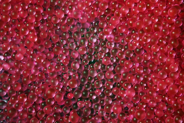 Muitas pequenas bolas vermelhas — Fotografia de Stock