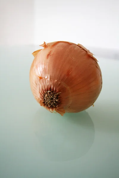 Onion. — Stock Photo, Image
