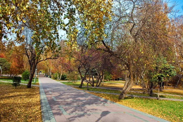 Autumn alley