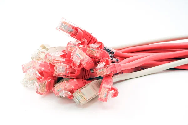 Lan cable patchcord — Stock Image Lan cable patchcord Stock Photo