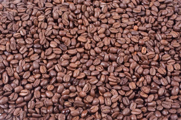 Bean coffee — Stock Photo, Image