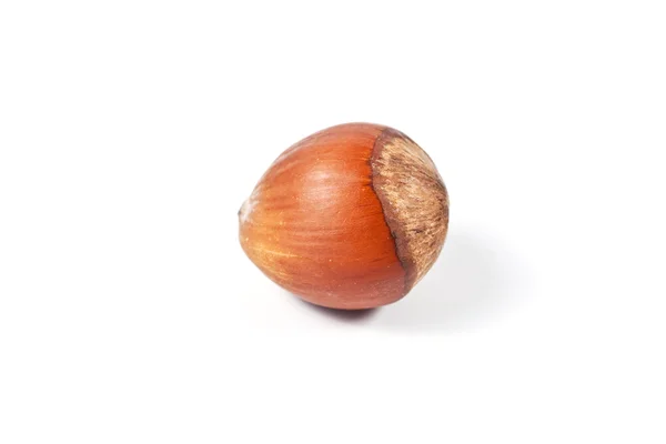 stock image Hazelnuts