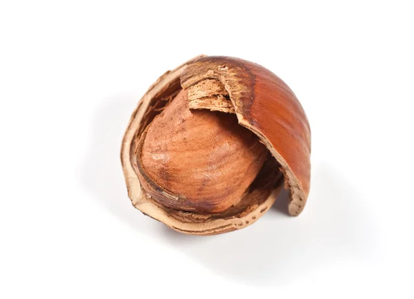 stock image Hazelnuts