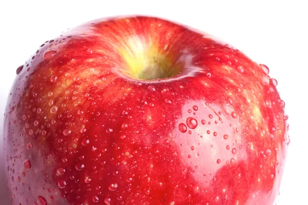 빨간 젖은 사과 — 스톡 사진