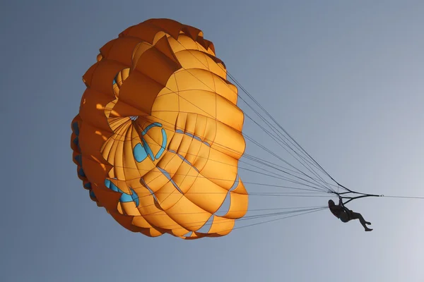 Parachutisme en été Images De Stock Libres De Droits