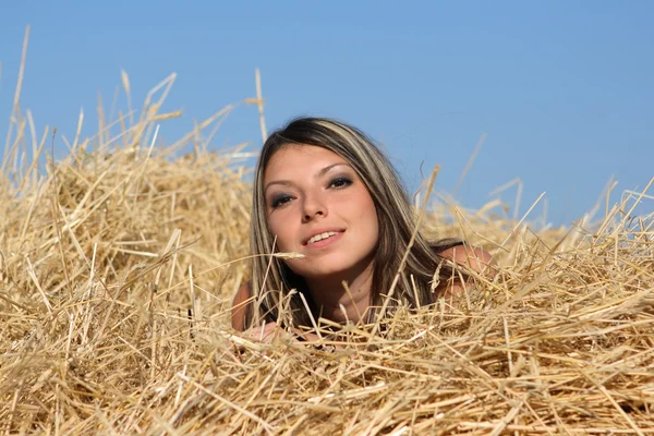 stock image Girl in a hay