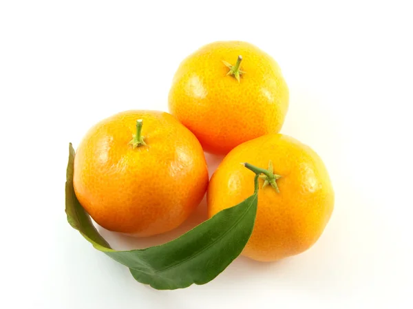 Drei Mandarinen mit Blatt isoliert auf whi — Stockfoto