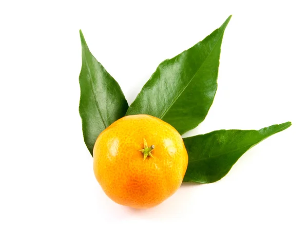 Mandarine avec feuilles isolées sur blanc — Photo