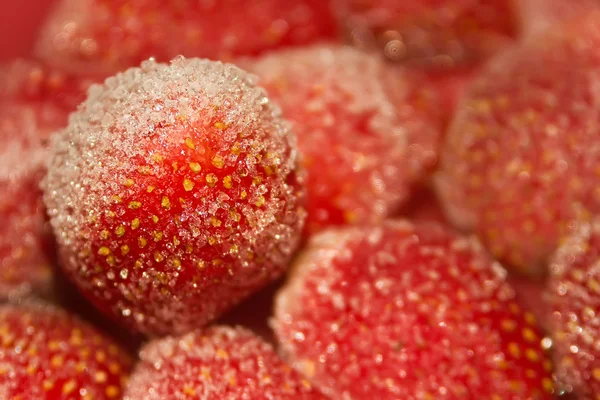 stock image Frozen strawberry in frost