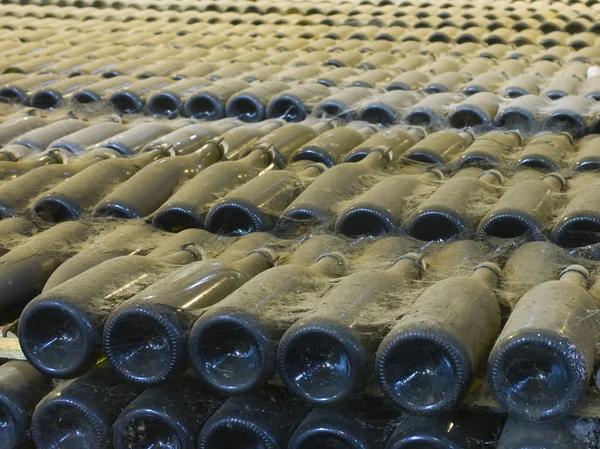 Wine-bottles — Stock Photo, Image