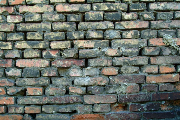 Brick wall texture Stock Image