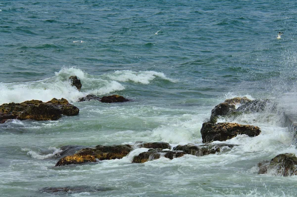 Vlny a mořské pěny — Stock fotografie