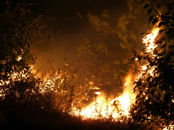 Brand på stäppen — Stockfoto