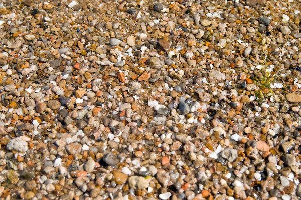 Pozadí mořské kameny — Stock fotografie