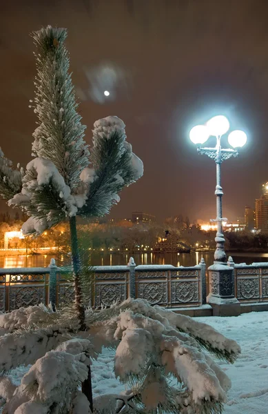 Нічне місто взимку — стокове фото