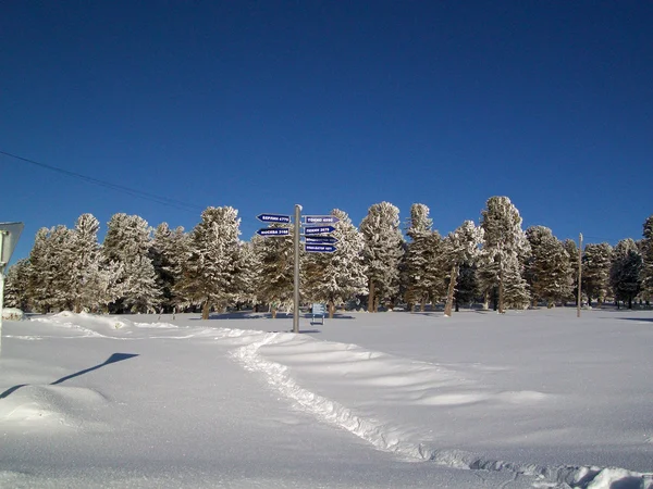 Hög i berg i vinter — Stockfoto