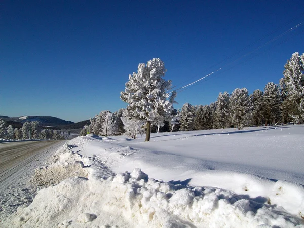 Snö montering pass i hornet altai — Stockfoto