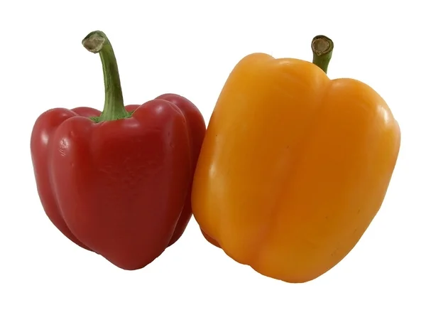 Two peppers on white background — Stock Photo, Image