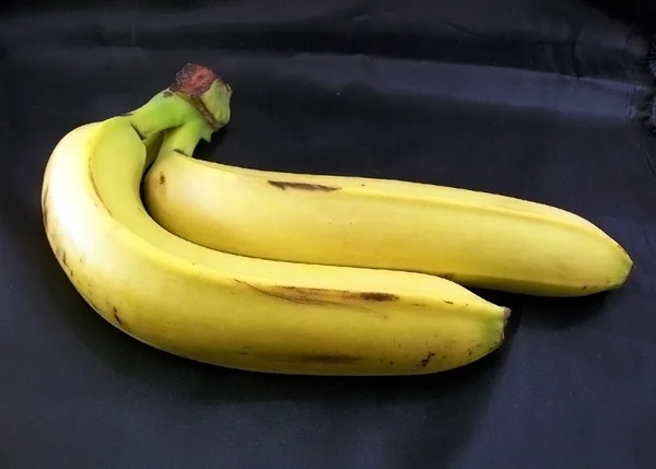 Two bananas on dark fabrics — Stock Photo, Image