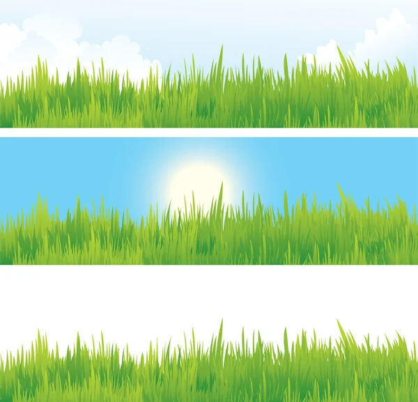 Banner de hierba de primavera — Archivo Imágenes Vectoriales