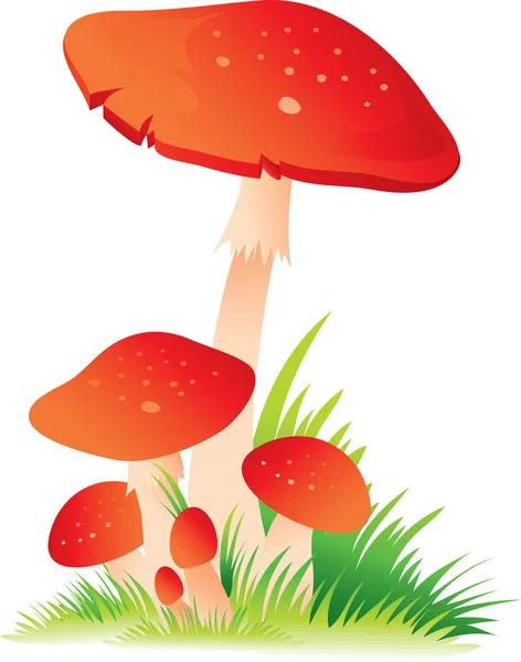 stock vector Fungi