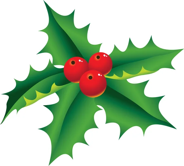 Navidad Holly — Archivo Imágenes Vectoriales