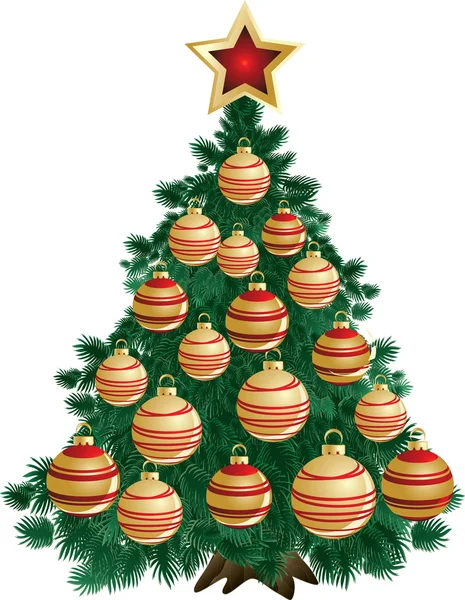 Immergrüner Weihnachtsbaum — Stockvektor
