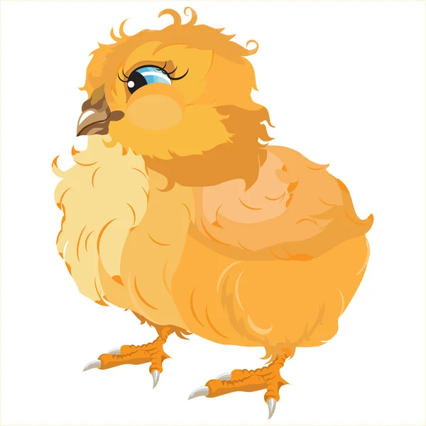 Žluté kuře — Stockový vektor