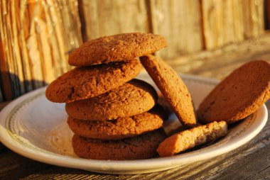 Plate with oatmeal cakes in the sunset clipart