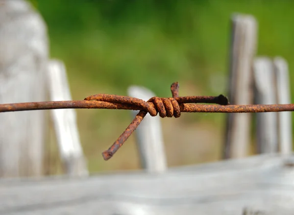 Rusty razor wire — Stock Photo, Image