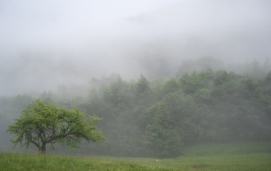 sisli dağlar sabah