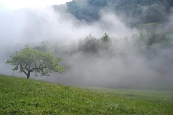 Foggy morning in mountains — Stock Photo, Image