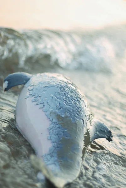 L'inquinamento ambientale provoca delfini — Foto Stock