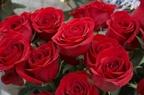 stock image Heap of red roses