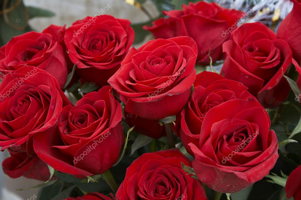 Heap of red roses — Stock Photo © sergeylukianov #1081363