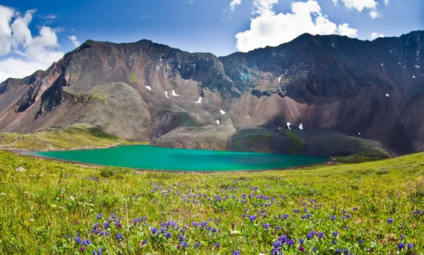 Lago verde di montagna — Foto Stock