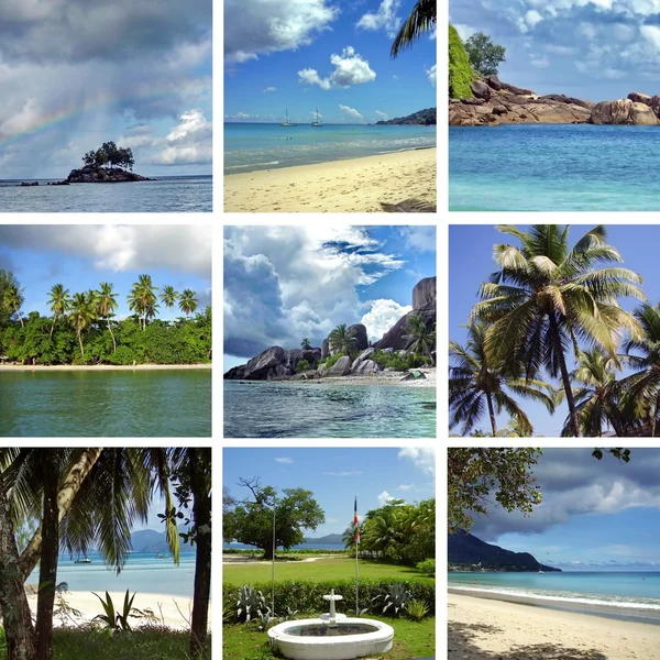 Collage of images of Seychelles — Stock Photo, Image