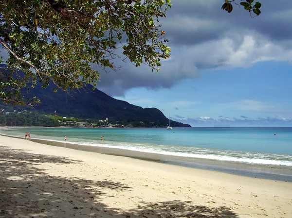 Playa en Seychelles —  Fotos de Stock