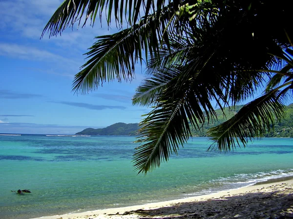 Strand auf der Insel Mahé — Stockfoto