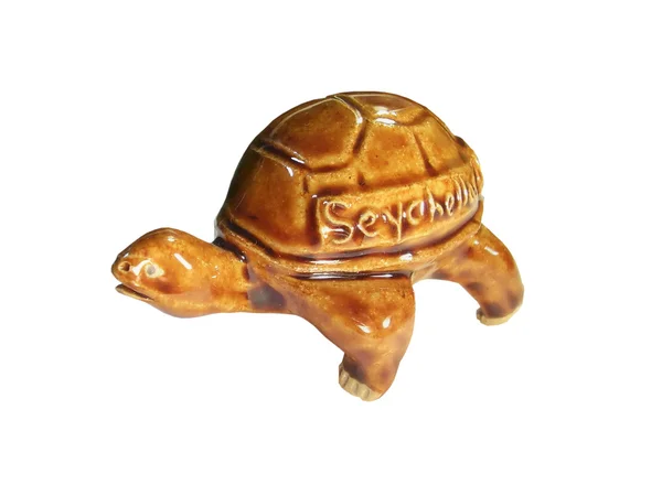 Tartaruga - un souvenir dalle Seychelles — Foto Stock