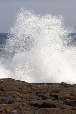 Wave crashing on the shore clipart