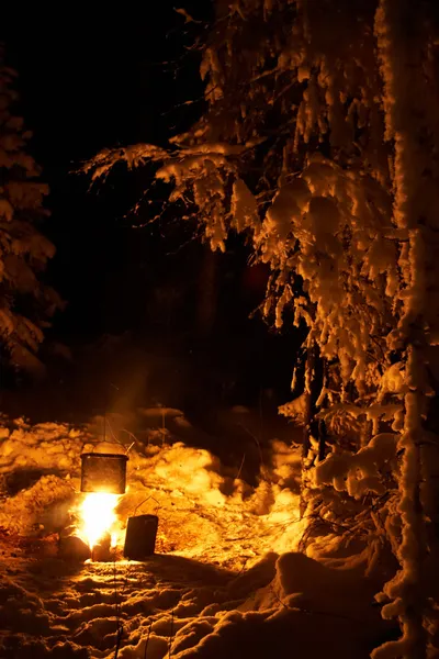 Winter campfire — Stock Photo, Image