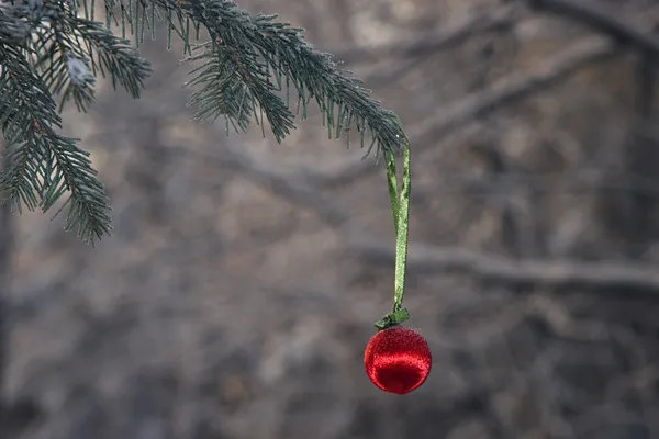 Stock image Christmas ball in a winter forest