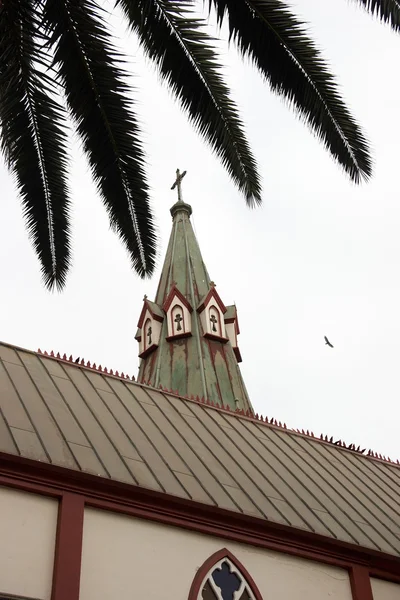Kerkgebouw en palmboom — Stockfoto