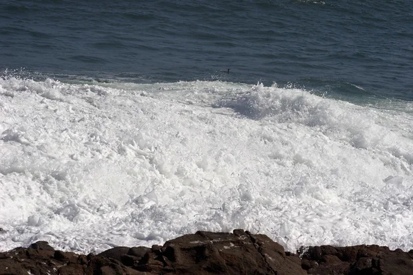 岸から後退波 — ストック写真
