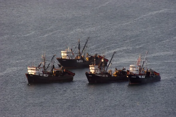 stock image Group of trawlers in the ocean