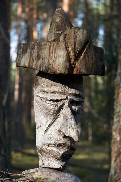 Zvětralá dřevěná socha uprostřed divočiny — Stock fotografie