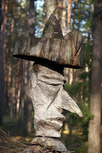 Escultura de madeira artesanal no meio da natureza selvagem — Fotografia de Stock
