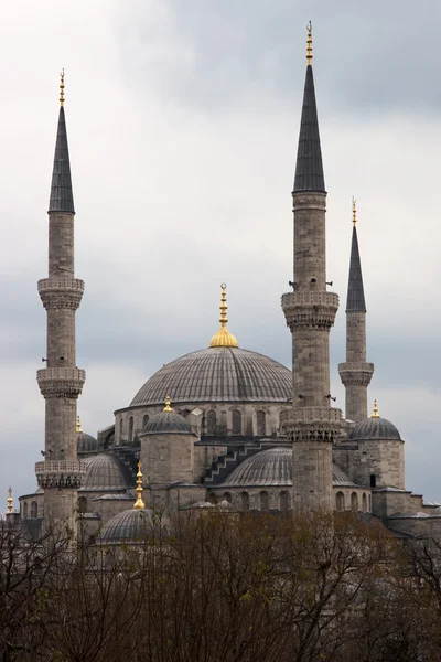 Verticaal beeld van de Blauwe Moskee in de winter, Istanbul, Turkije — Stockfoto